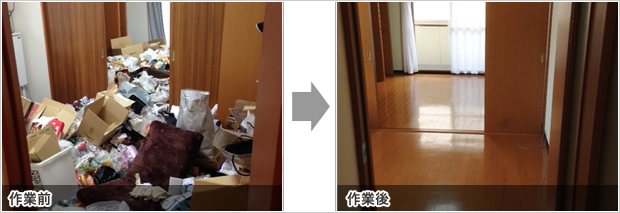 Pro Assist画像